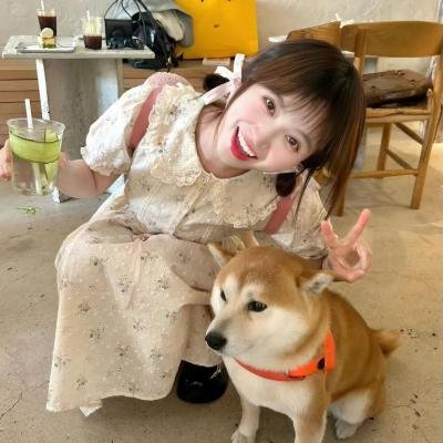 恶邻布局