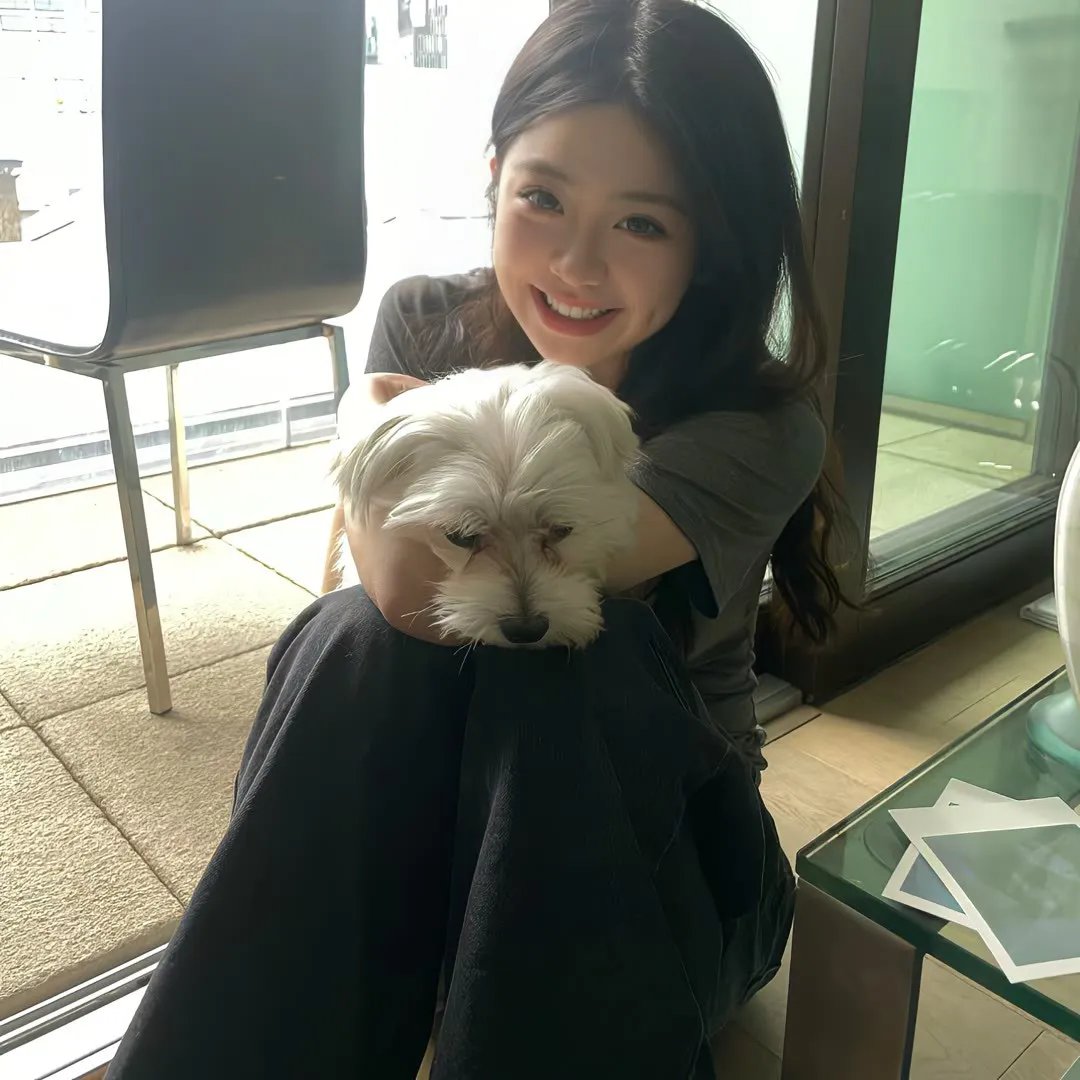 金式森林粤语